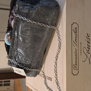 Jessica McClintock Silver Mesh Clutch with Chain